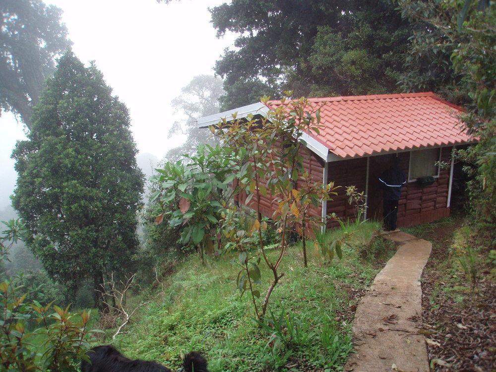 Paraiso Quetzal Lodge Tres de Junio Eksteriør billede