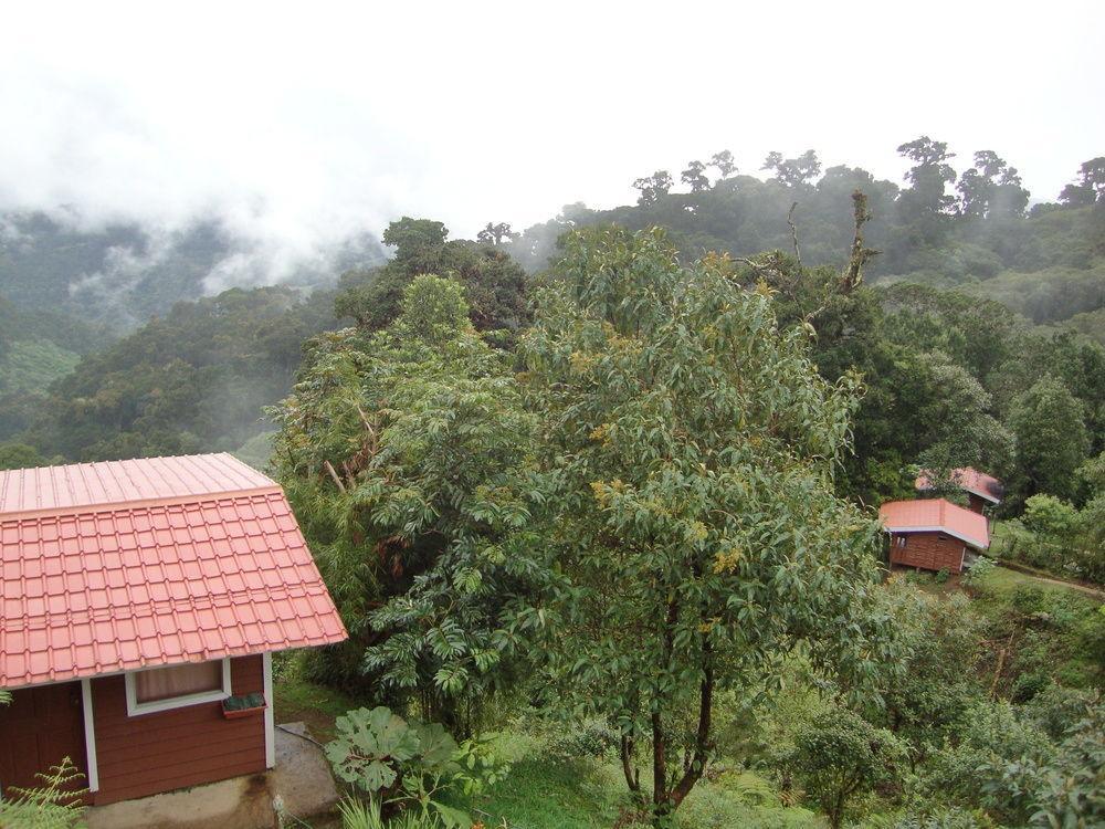 Paraiso Quetzal Lodge Tres de Junio Eksteriør billede