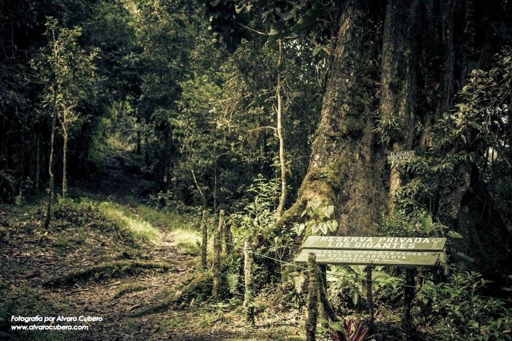 Paraiso Quetzal Lodge Tres de Junio Eksteriør billede