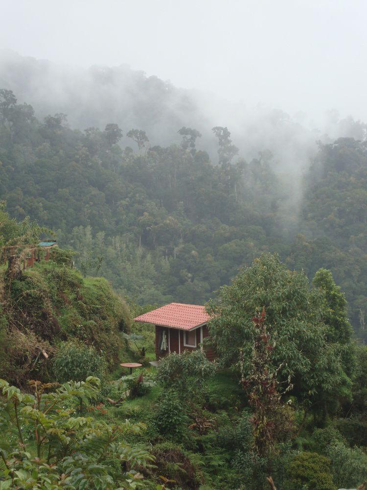 Paraiso Quetzal Lodge Tres de Junio Eksteriør billede