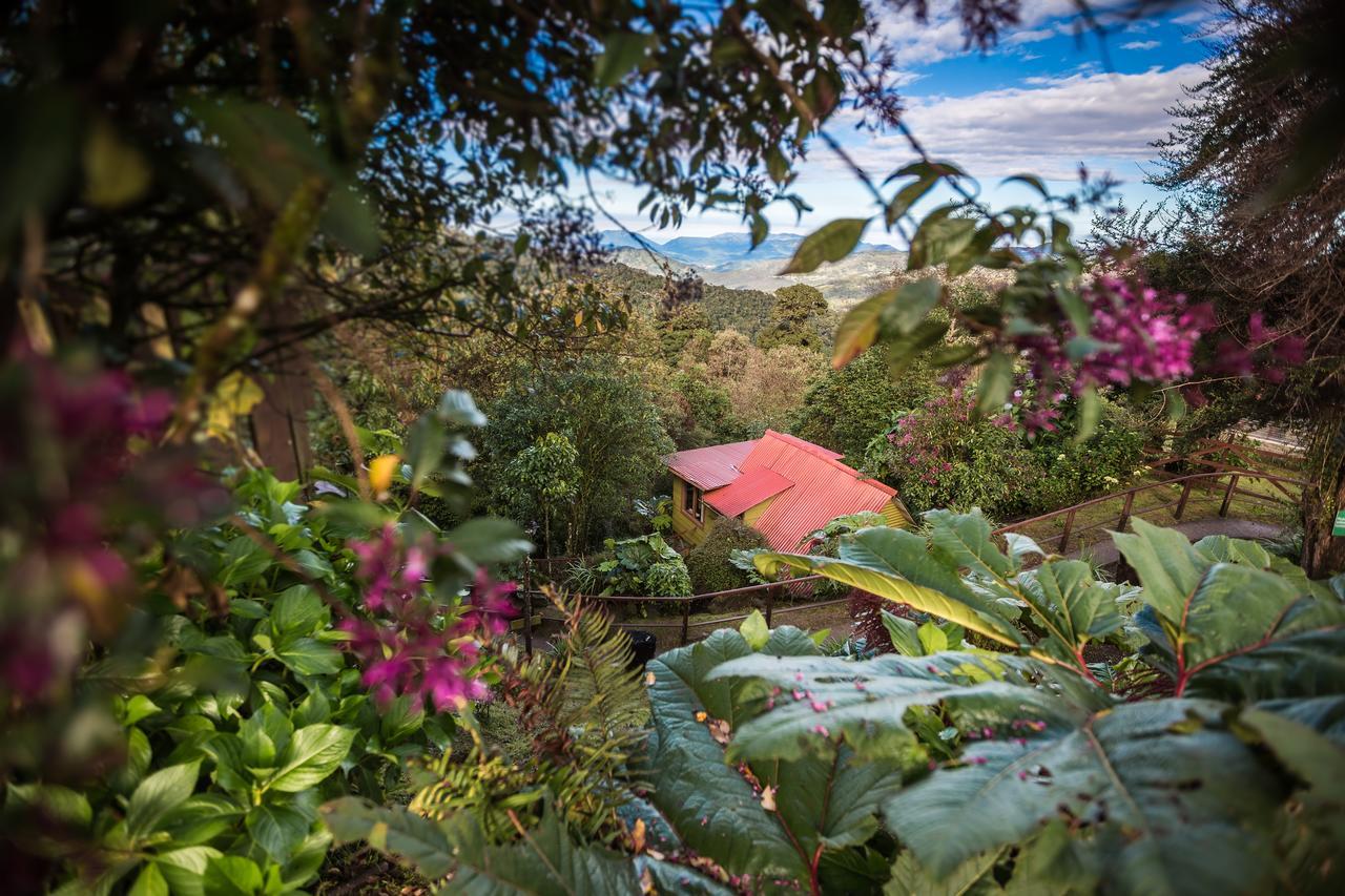 Paraiso Quetzal Lodge Tres de Junio Eksteriør billede