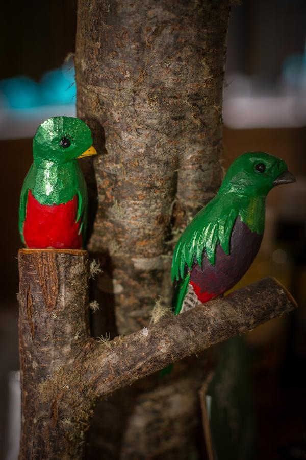 Paraiso Quetzal Lodge Tres de Junio Eksteriør billede