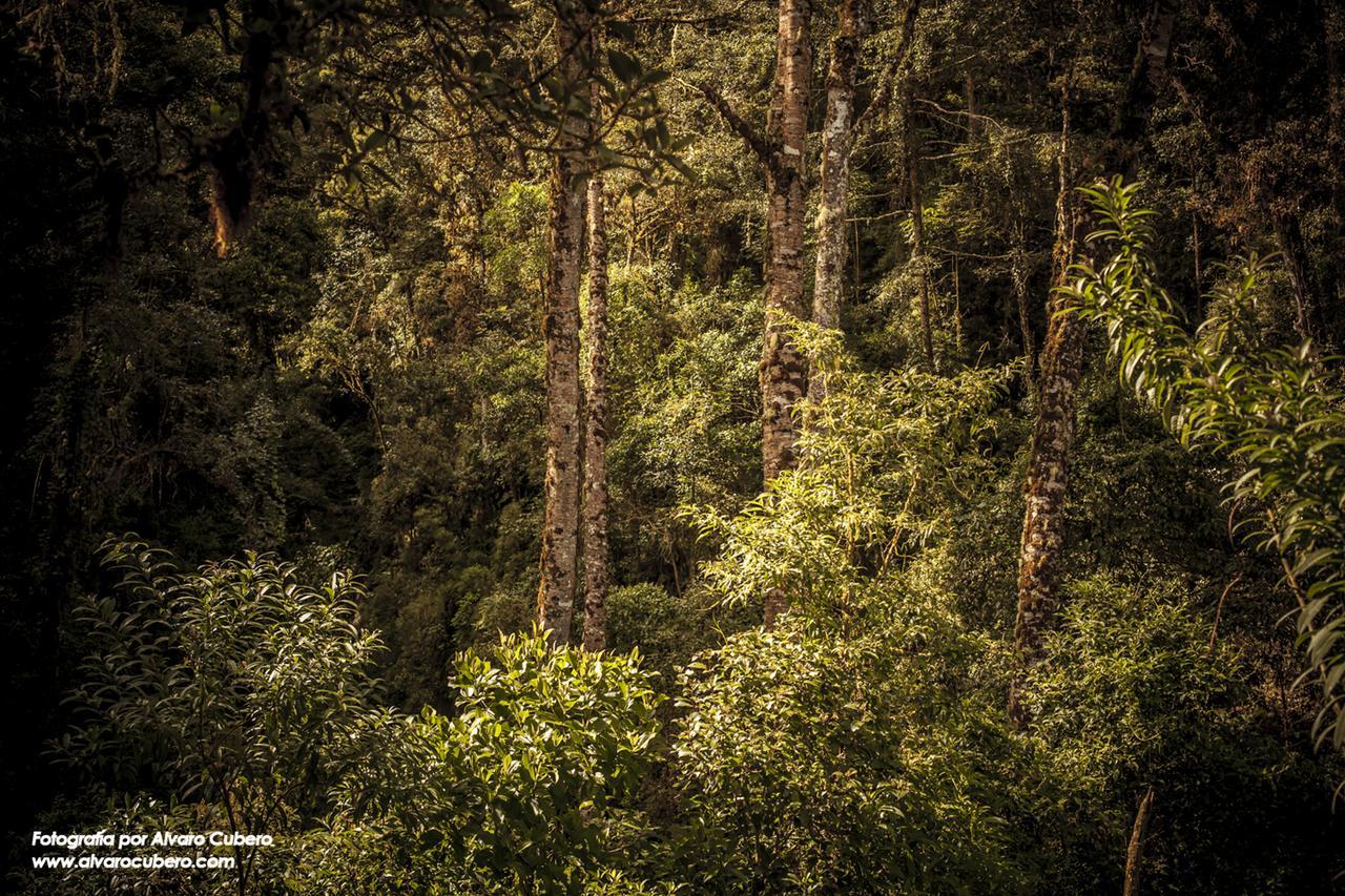 Paraiso Quetzal Lodge Tres de Junio Eksteriør billede